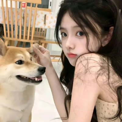 我们爱企鹅